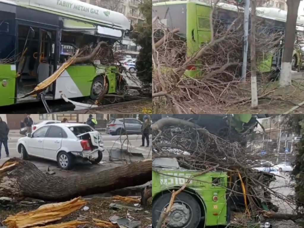 В Мирзо-Улугбекском районе Ташкента автобус потерял управление и врезался в дерево. Есть пострадавшие