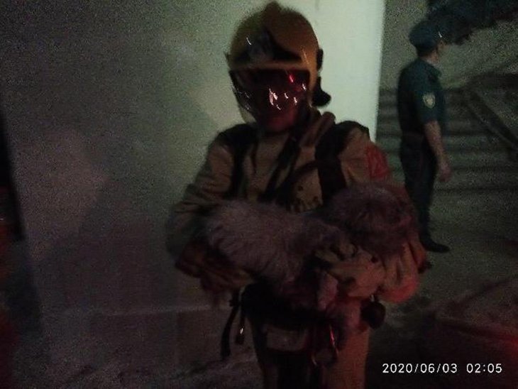 Ночью 3 июня в Ташкенте загорелся 12-этажный дом: эвакуированы более 30 человек