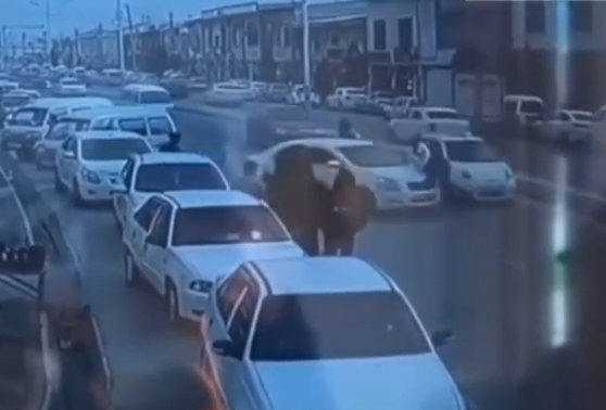 В Бухарской области водитель наехал на сотрудника ДПС. Видео