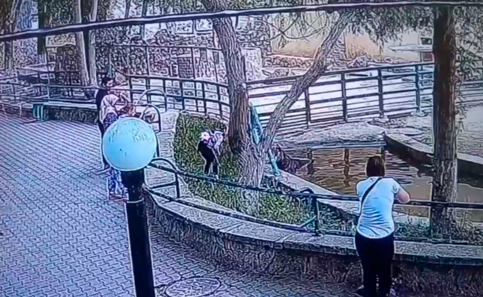 В Ташкентском зоопарке девочка кидала камни и палки в бегемота. Затем она полезла в вольер, пытаясь забросить камни в рот животному  