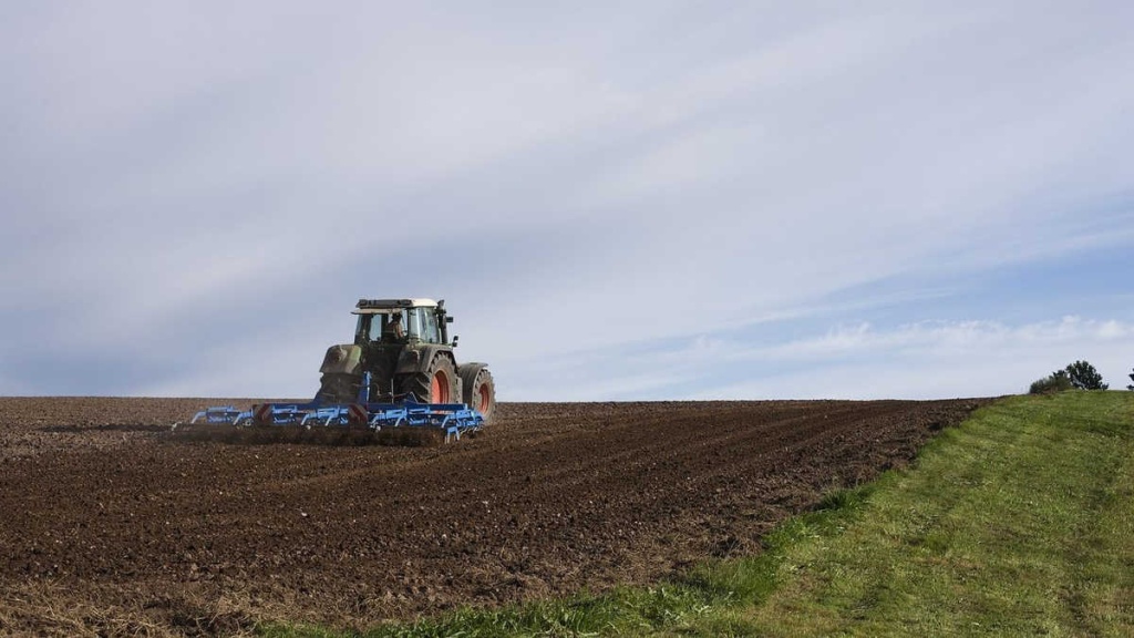 В Узбекистане все земли для сельхозработ переведут на арендное право В Узбекистане все земли для сельхозработ переведут на арендное право