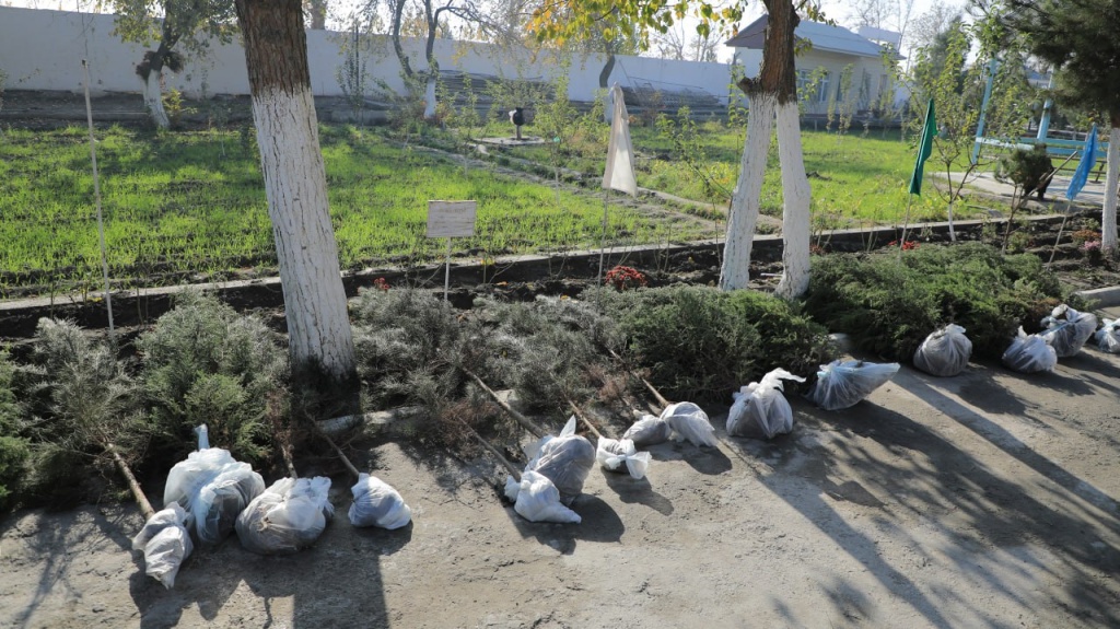 Трансформация "Яшил макон": узбекистанцы смогут выбирать места для парков и садов