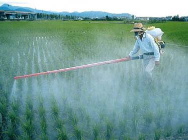 Евросоюз реализует в Узбекистане проект по сокращению уровня пестицидных отходов