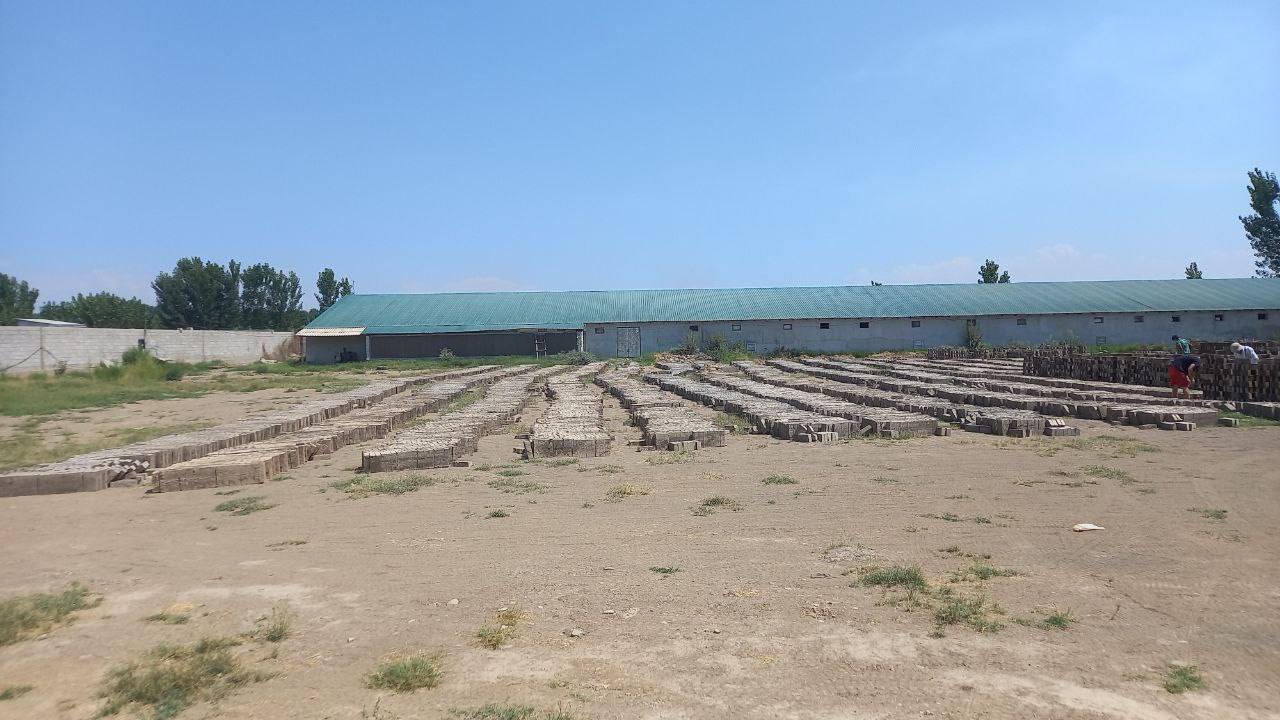 photo_2024-07-13_17-02-25 (2).jpg