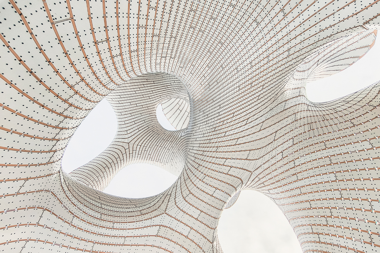 Без имени-2.jpg