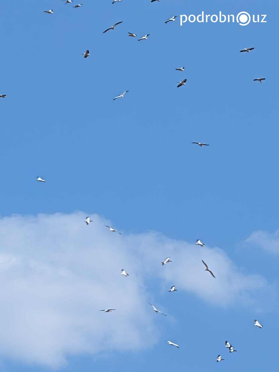 65445747457547.jpg