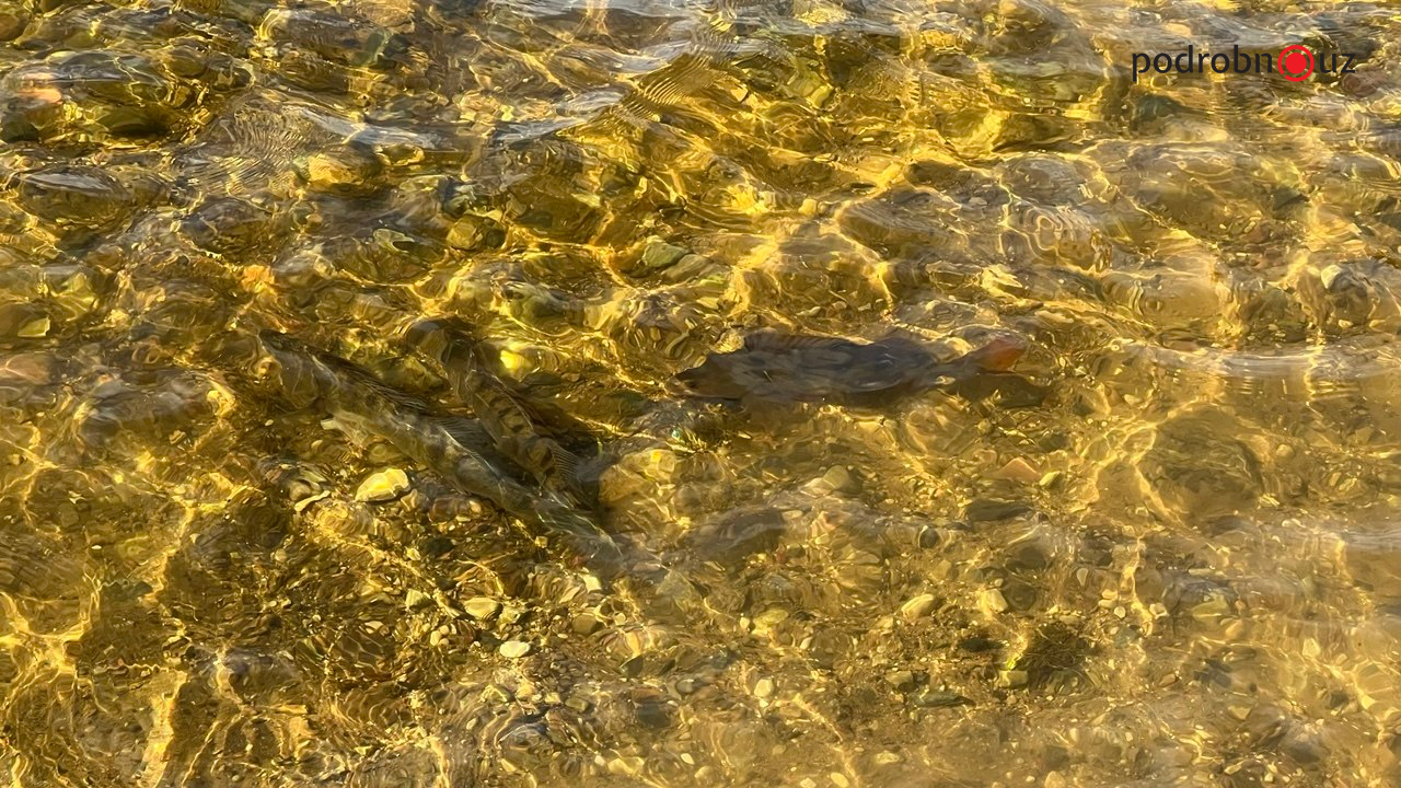 13546534643634.jpg