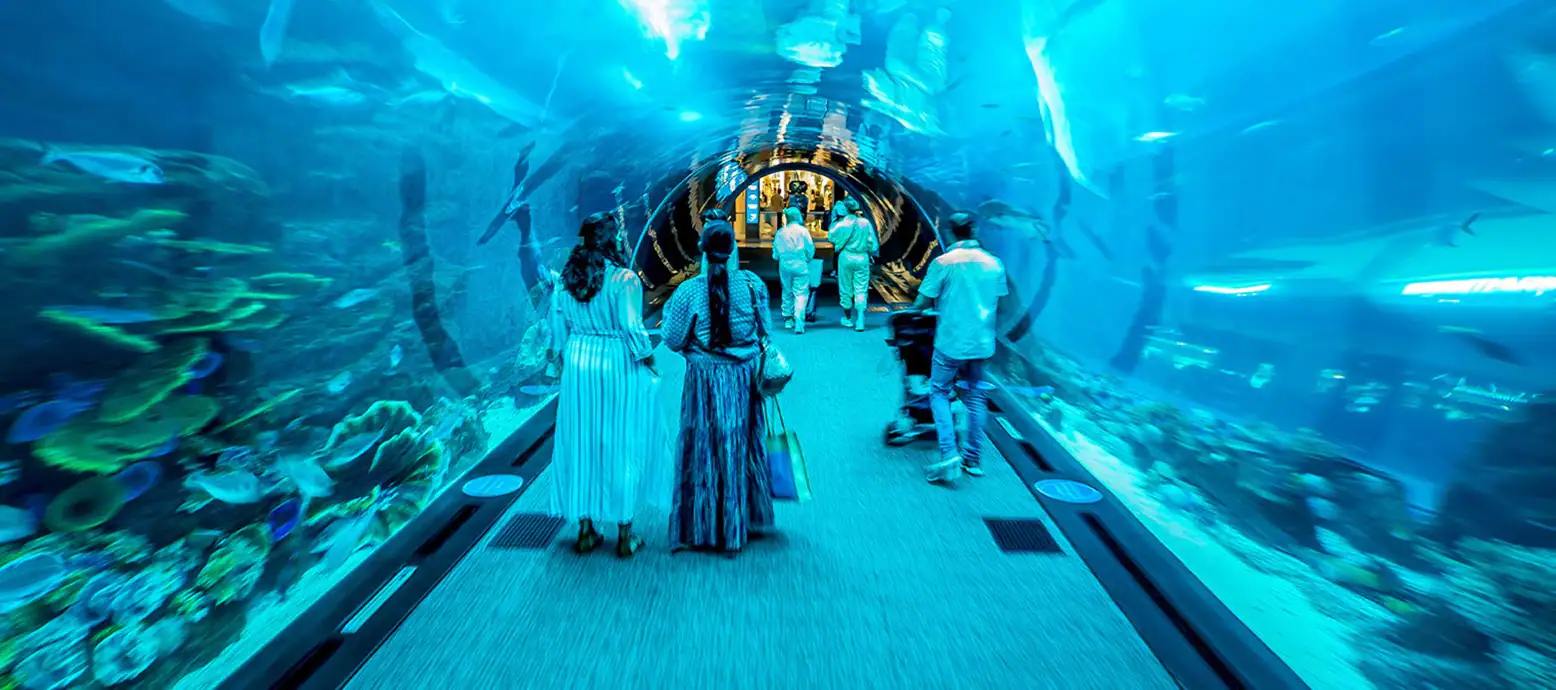 det-the-dubai-mall-dubai-aquarium-2.webp