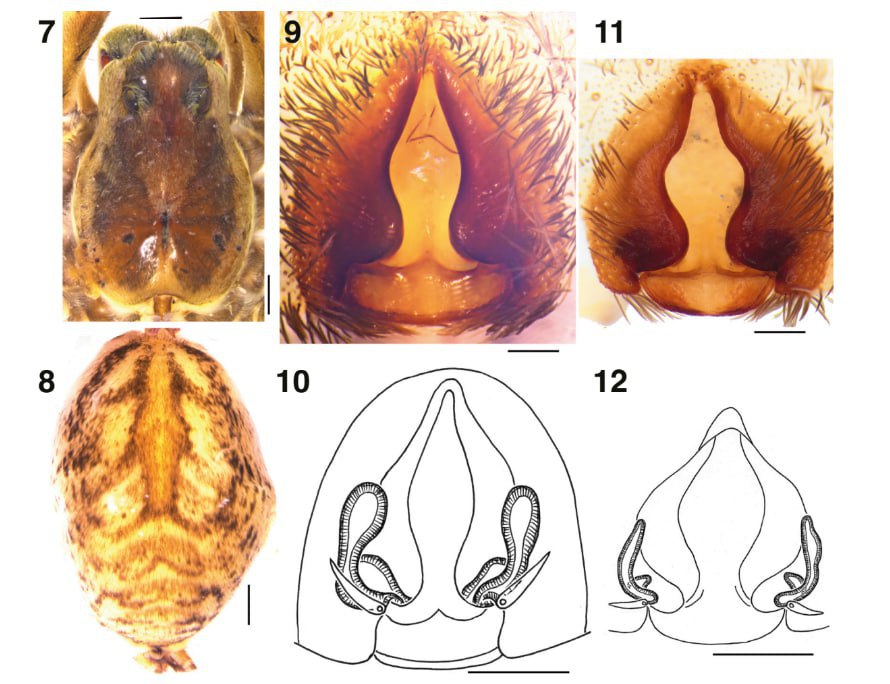 photo_2026-03-02_13-19-38 (2).jpg