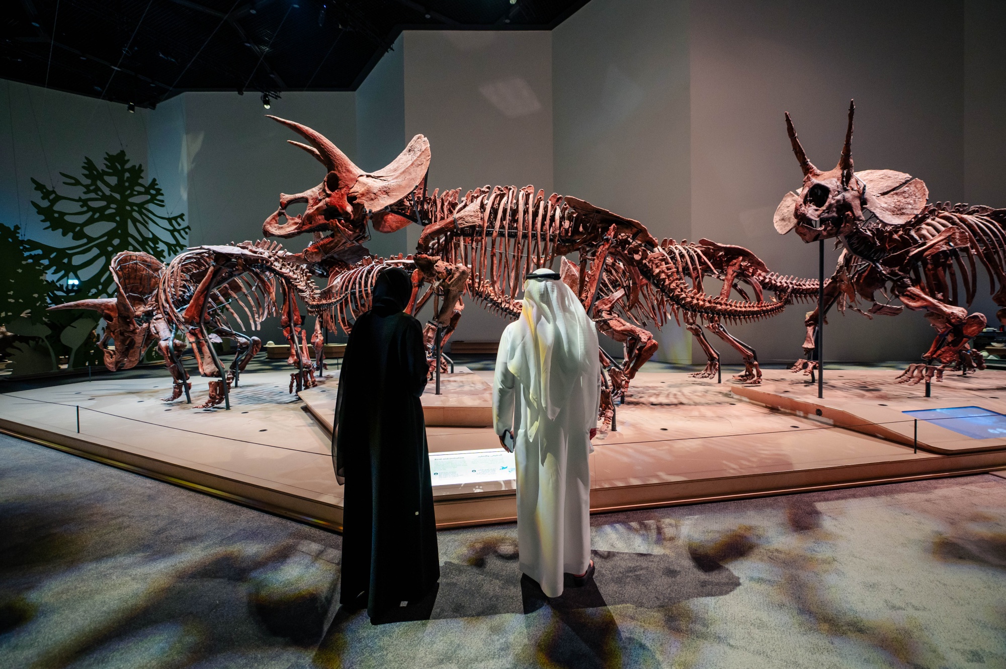 March of the Triceratops.jpg