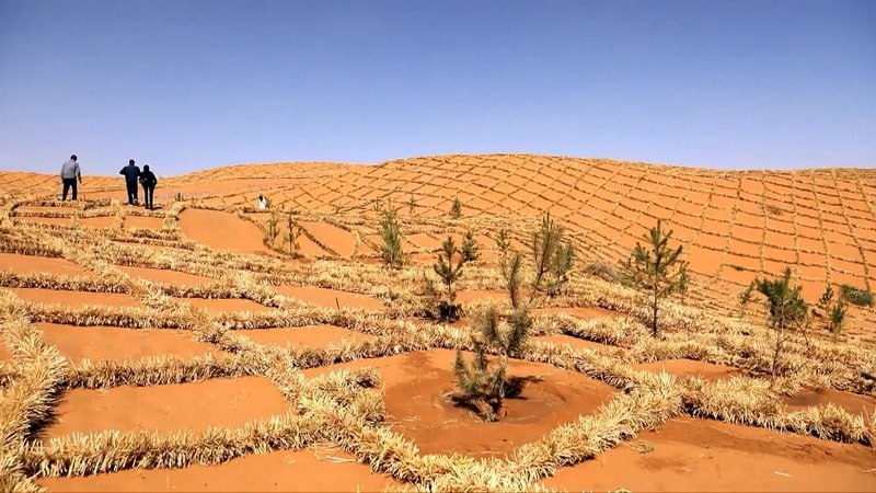 photo_2025-08-15_12-33-12 (2).jpg