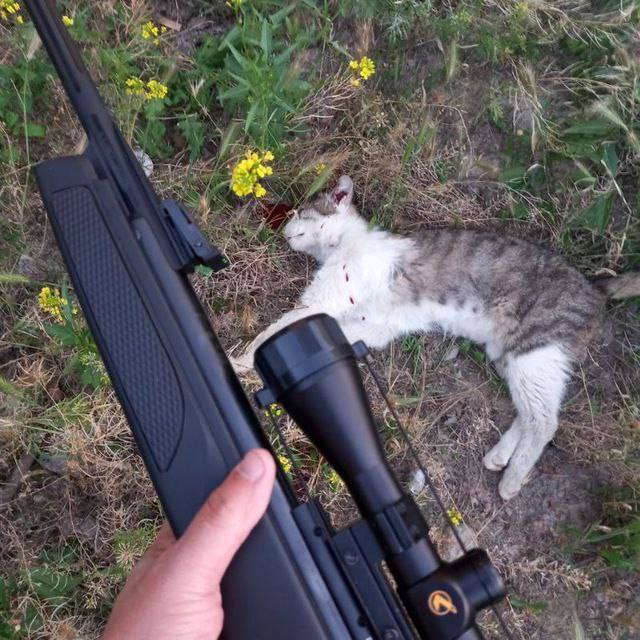 В Фергане появился очередной живодер. Мужчина выставил в соцсетях видео, как он убивает из ружья кошку и режет горло оленю