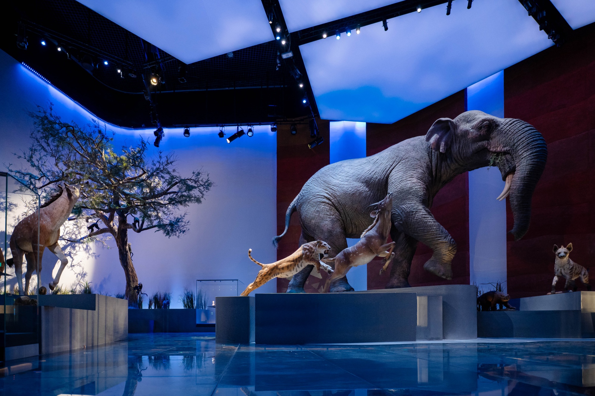Arabias Climate with Act 1B - The Evolving World - Cenozoic.jpg